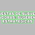 Propuestas de subvención ganadoras: Sugerencias estratégicas